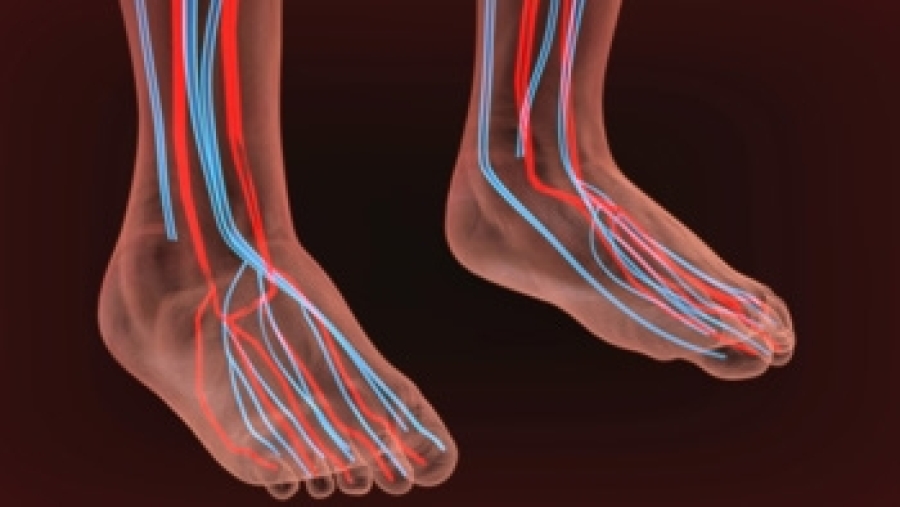 causes-of-peripheral-neuropathy